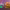 https://res.cloudinary.com/billionhands/image/upload/v1772105549/items/xqe0lsylgsyzjy9ogrla.jpg-1cover