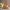 https://res.cloudinary.com/billionhands/image/upload/v1772105560/items/c8okvvp4j7uvcmptnj3y.jpg-1cover