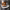 https://res.cloudinary.com/billionhands/image/upload/v1772105560/items/ezdyk8l2uhutvvozrras.jpg-0cover