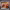 https://res.cloudinary.com/billionhands/image/upload/v1772105605/items/ep8xtbjw1l5oegmwwmol.jpg-0cover