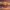 https://res.cloudinary.com/billionhands/image/upload/v1772105606/items/ivbzfkgvbtgpigmcctqs.jpg-0cover