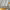https://res.cloudinary.com/billionhands/image/upload/v1772105613/items/slob03srnrqcvnbaeojb.jpg-2cover