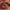 https://res.cloudinary.com/billionhands/image/upload/v1772105635/items/kgy4rstozcvufwmgu1mo.jpg-3cover
