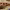 https://res.cloudinary.com/billionhands/image/upload/v1772105715/items/bfuqabgel7seylnrwazh.jpg-0cover