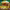 https://res.cloudinary.com/billionhands/image/upload/v1772105725/items/gnvren3lrtx0vaedupmm.jpg-0cover