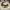 https://res.cloudinary.com/billionhands/image/upload/v1772105726/items/rd2wo92wsxoew1ctjbxb.jpg-3cover