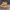 https://res.cloudinary.com/billionhands/image/upload/v1772105786/items/umjrw1mkyvsfe6fpftuh.jpg-0cover