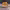 https://res.cloudinary.com/billionhands/image/upload/v1772105790/items/veqouo0onftker6ei7dy.jpg-3cover