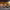 https://res.cloudinary.com/billionhands/image/upload/v1772105798/items/vs7zfgbxsoiwoee9ds7k.jpg-3cover