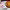 https://res.cloudinary.com/billionhands/image/upload/v1772105877/items/cqoanubscdbqk3ntzto7.png-3cover