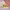 https://res.cloudinary.com/billionhands/image/upload/v1772105943/items/vp9fe50vwijlse7eydci.jpg-3cover