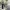 https://res.cloudinary.com/billionhands/image/upload/v1772105945/items/rqumzzbfkhfnivezrbj9.jpg-2cover