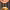 https://res.cloudinary.com/billionhands/image/upload/v1772105945/items/zhace2p9qpnrvq0zhvju.png-3cover