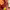 https://res.cloudinary.com/billionhands/image/upload/v1772108318/items/tnyodjylbvlsvpqvck0o.webp-2cover