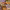 https://res.cloudinary.com/billionhands/image/upload/v1772108380/items/e3avqirc9nhuheqsmvbl.jpg-3cover