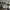 https://res.cloudinary.com/billionhands/image/upload/v1772108462/items/nvzcvegmf6xwvx3rpcxv.jpg-2cover