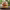 https://res.cloudinary.com/billionhands/image/upload/v1772108467/items/v3n01myhgdwqiajrq68x.avif-2cover
