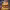 https://res.cloudinary.com/billionhands/image/upload/v1772108515/items/yqmzs70vfsptpygfxzyn.webp-2cover