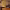 https://res.cloudinary.com/billionhands/image/upload/v1772108573/items/hcuoc8btlf2guwfogs1c.jpg-2cover