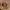https://res.cloudinary.com/billionhands/image/upload/v1772108595/items/rnwtlmwtz0wcc6vr7fvx.webp-2cover