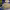https://res.cloudinary.com/billionhands/image/upload/v1772108633/items/llf93yr0bginpl9ee2zh.jpg-3cover