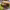 https://res.cloudinary.com/billionhands/image/upload/v1772108676/items/cxascuju7rdmel8grckz.jpg-3cover