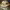 https://res.cloudinary.com/billionhands/image/upload/v1772108752/items/tma23ncqvvgoq7cduvhu.jpg-3cover