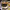 https://res.cloudinary.com/billionhands/image/upload/v1772108788/items/bn8nryxv5s3bvlnwpozo.jpg-0cover
