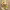 https://res.cloudinary.com/billionhands/image/upload/v1772108791/items/whjkkf1ytoezb0mr7dl7.jpg-3cover