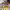 https://res.cloudinary.com/billionhands/image/upload/v1772116118/items/oyknkfrhp6dd2b0axhnx.jpg-2cover