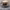 https://res.cloudinary.com/billionhands/image/upload/v1772116120/items/i79nvit3vmutgertsqjc.jpg-2cover