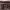 https://res.cloudinary.com/billionhands/image/upload/v1772116125/items/zt71qiwqncpnbitmcmau.jpg-2cover