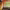 https://res.cloudinary.com/billionhands/image/upload/v1772116462/items/qx2bg5erh6rmdg4dkynt.jpg-2cover