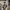 https://res.cloudinary.com/billionhands/image/upload/v1772116933/items/erghs7nk4neh3z0zkmvz.jpg-2cover
