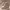 https://res.cloudinary.com/billionhands/image/upload/v1772122335/items/t6ko9efwor94d8gqzfnr.webp-0cover