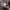 https://res.cloudinary.com/billionhands/image/upload/v1772123694/items/u4wetaeo54yzhlmlfnu9.jpg-1cover