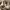 https://res.cloudinary.com/billionhands/image/upload/v1772177149/items/xqlohmng4fmepnlydp01.jpg-0cover