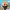 https://res.cloudinary.com/billionhands/image/upload/v1772177162/items/o5wdn79cnoiynpztr7z5.jpg-2cover