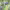 https://res.cloudinary.com/billionhands/image/upload/v1772177165/items/ngxwsknl41io9q12nbmo.jpg-0cover
