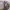 https://res.cloudinary.com/billionhands/image/upload/v1772177165/items/ydpveqquqhtnjpaf4erj.jpg-1cover