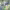 https://res.cloudinary.com/billionhands/image/upload/v1772177167/items/koczv7rxff4oaadfnlms.jpg-2cover