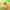 https://res.cloudinary.com/billionhands/image/upload/v1772177220/items/c8ops0rmaggzm8b2j5n5.avif-2cover