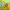 https://res.cloudinary.com/billionhands/image/upload/v1772177221/items/ojmchz13ujqftjdkhj2l.avif-3cover