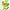 https://res.cloudinary.com/billionhands/image/upload/v1772177225/items/dfye2v13olhvpwwyhghe.jpg-3cover