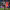 https://res.cloudinary.com/billionhands/image/upload/v1772263290/items/ad3bjg2aoh1lbyxeiujh.webp-1cover