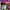 https://res.cloudinary.com/billionhands/image/upload/v1772263296/items/wlldnsjiwus4cesnffqw.jpg-2cover