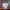 https://res.cloudinary.com/billionhands/image/upload/v1772349706/items/tumzjmlmw6r0mexzsoq2.avif-2cover