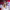 https://res.cloudinary.com/billionhands/image/upload/v1772349718/items/tewqjnbvnwihxpyyqiwk.webp-2cover