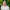 https://res.cloudinary.com/billionhands/image/upload/v1772349730/items/xpygxhgfdkqd6swrpktp.jpg-0cover