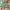 https://res.cloudinary.com/billionhands/image/upload/v1772349740/items/grdmaehjqthgbxuesemv.webp-3cover